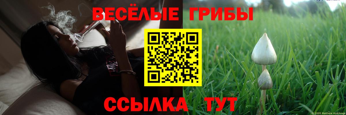 Галлюциногенные грибы Magic Shrooms Нижневартовск